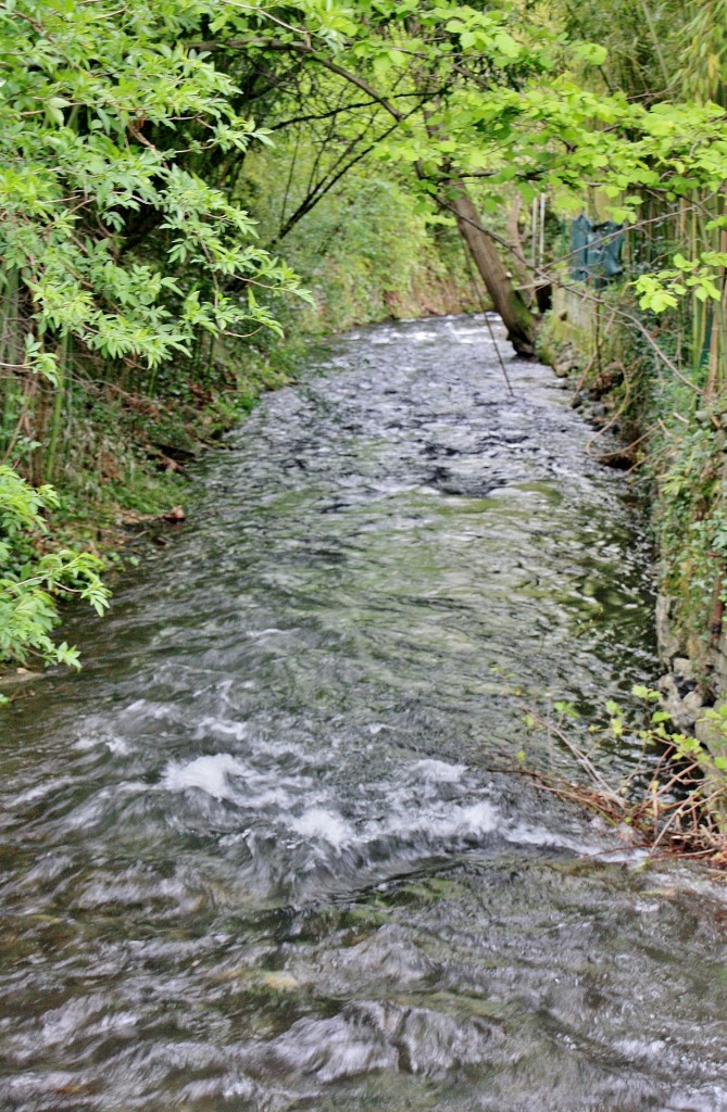 Foto: Rio Onin - Lesaka (Navarra), España