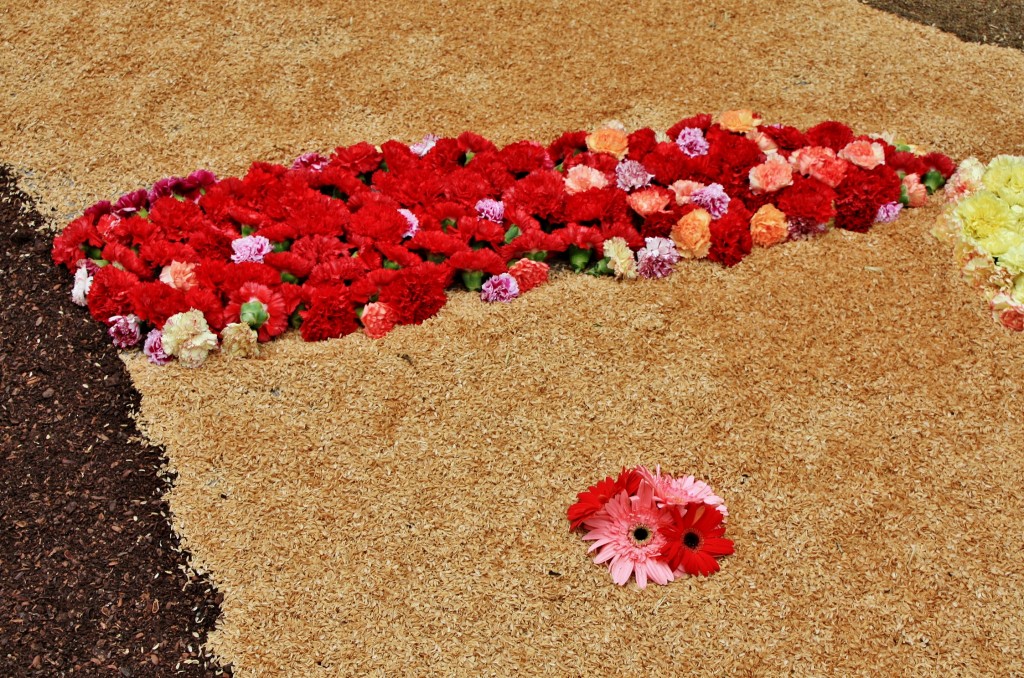 Foto: Alfombras de flores - La Garriga (Barcelona), España