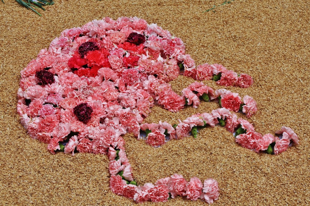 Foto: Alfombras de flores - La Garriga (Barcelona), España