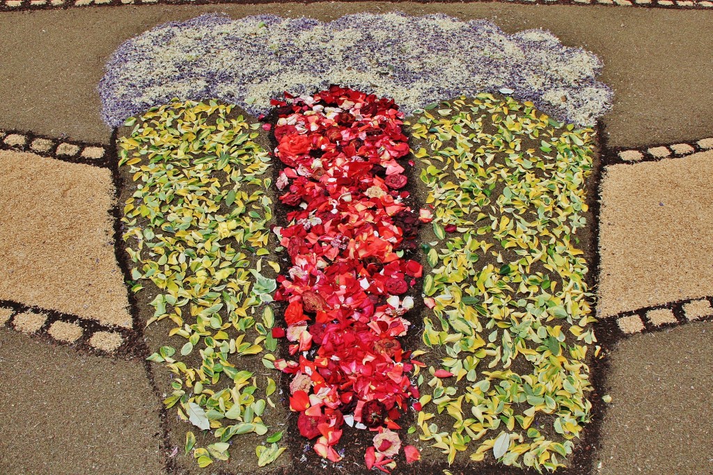 Foto: Alfombras de flores - La Garriga (Barcelona), España