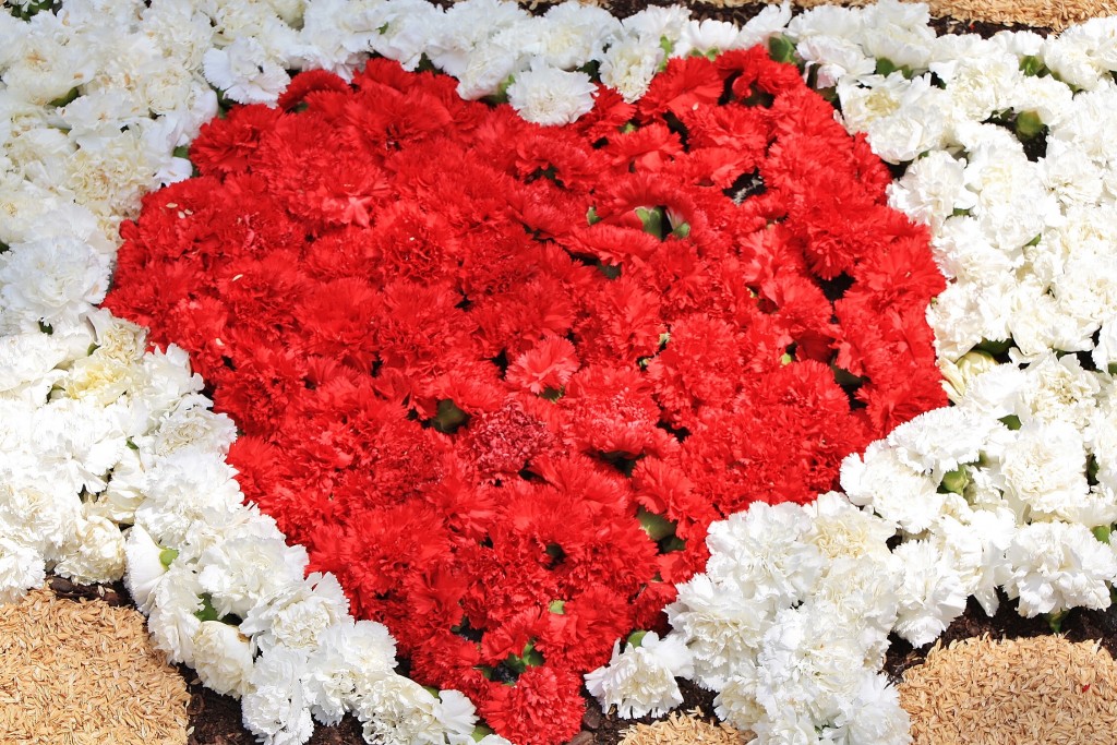 Foto: Alfombras de flores - La Garriga (Barcelona), España