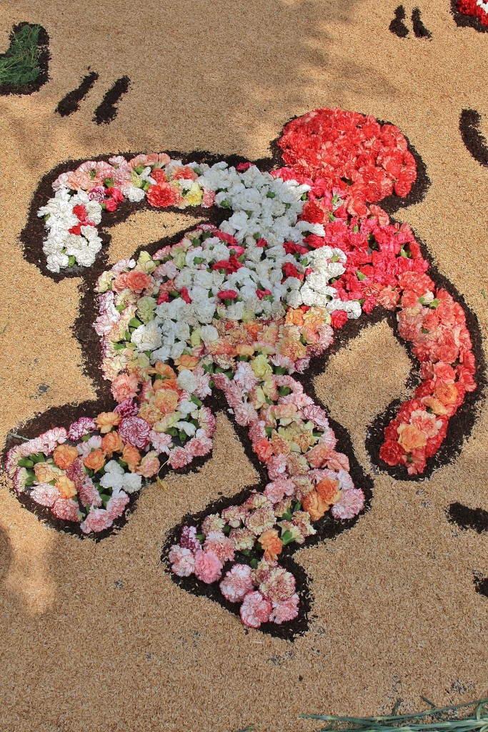 Foto: Alfombras de flores - La Garriga (Barcelona), España