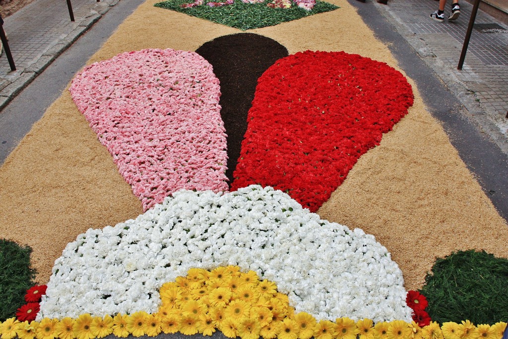 Foto: Alfombras de flores - La Garriga (Barcelona), España