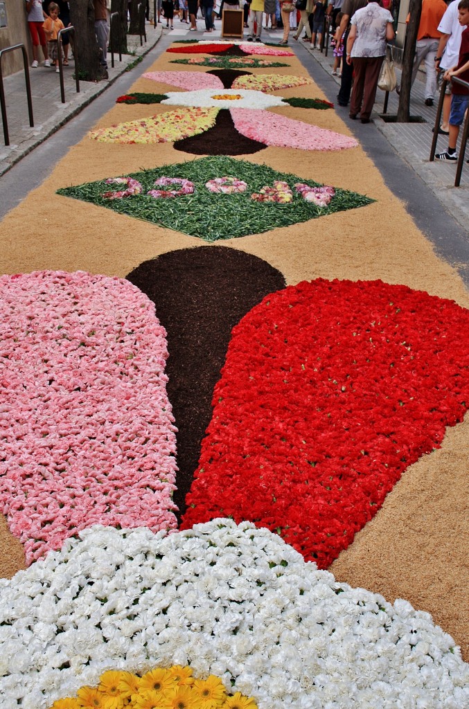 Foto: Alfombras de flores - La Garriga (Barcelona), España