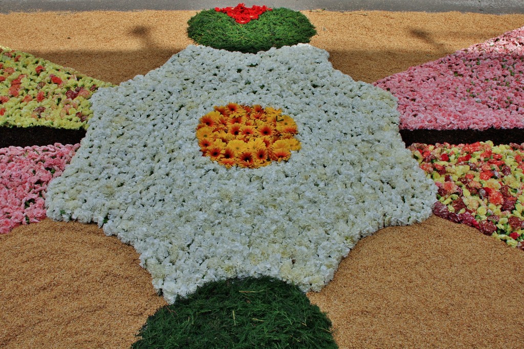 Foto: Alfombras de flores - La Garriga (Barcelona), España