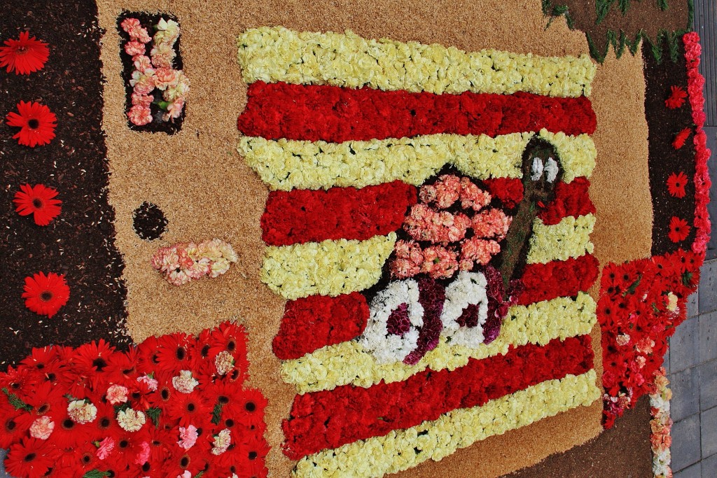 Foto: Alfombras de flores - La Garriga (Barcelona), España