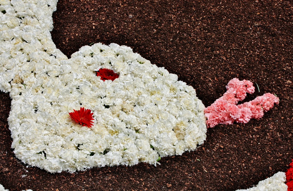 Foto: Alfombras de flores - La Garriga (Barcelona), España