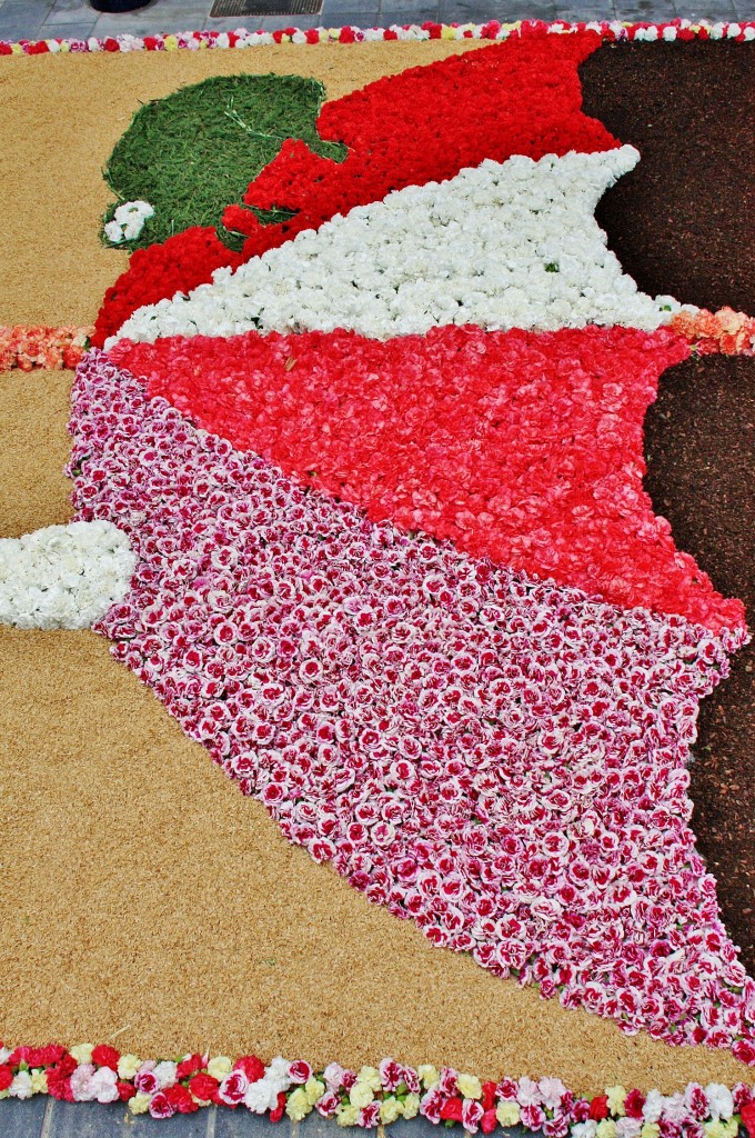 Foto: Alfombras de flores - La Garriga (Barcelona), España