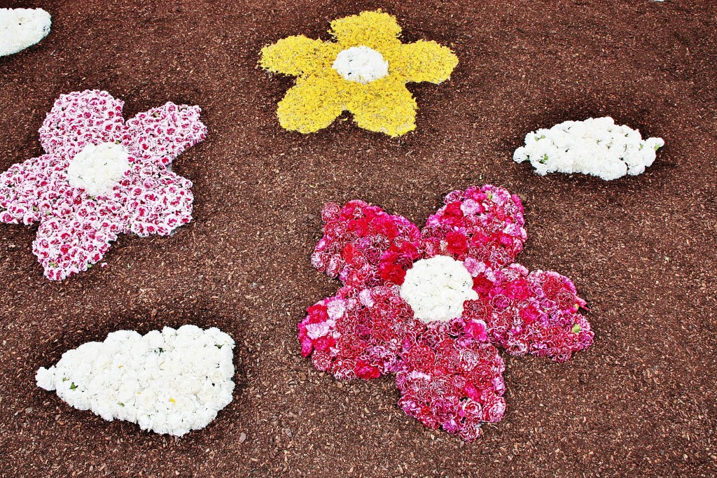 Foto: Alfombras de flores - La Garriga (Barcelona), España