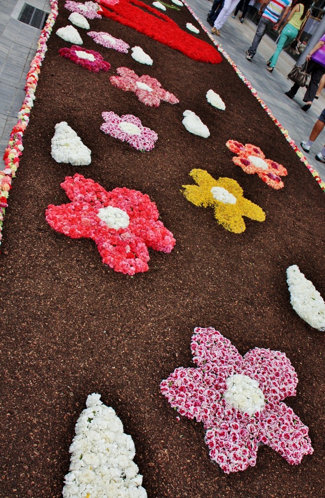 Foto: Alfombras de flores - La Garriga (Barcelona), España