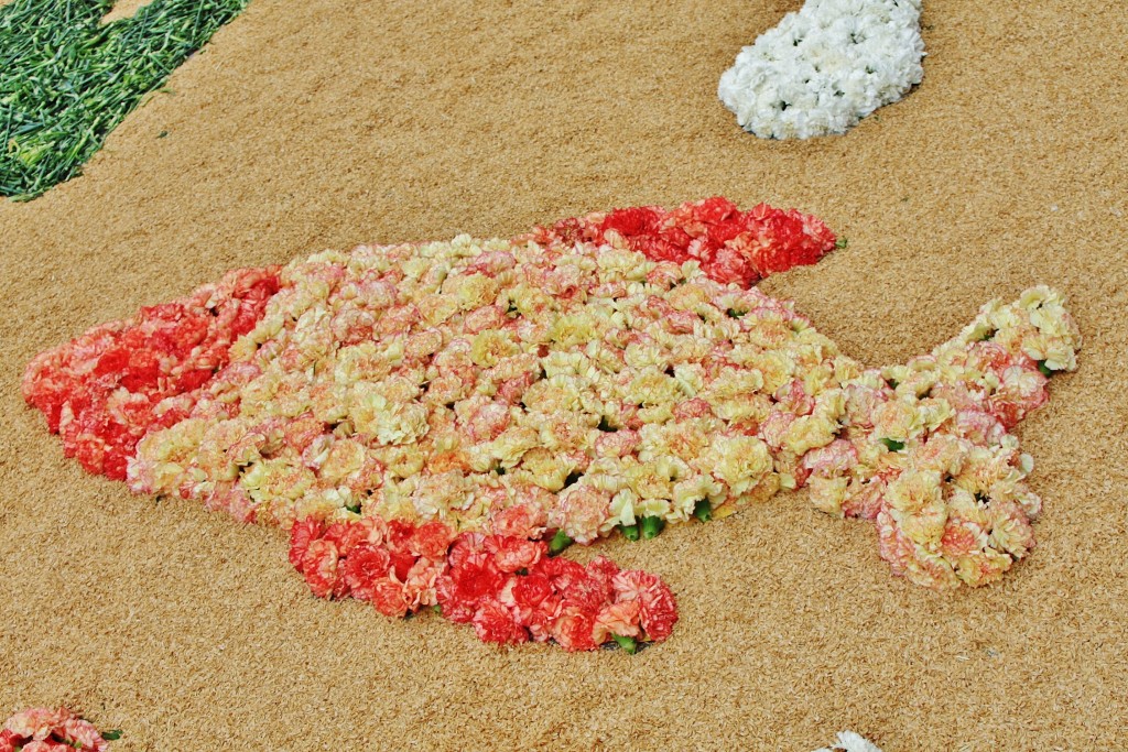 Foto: Alfombras de flores - La Garriga (Barcelona), España