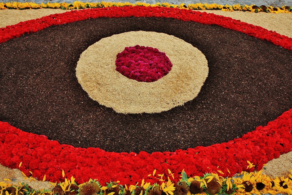 Foto: Alfombras de flores - La Garriga (Barcelona), España