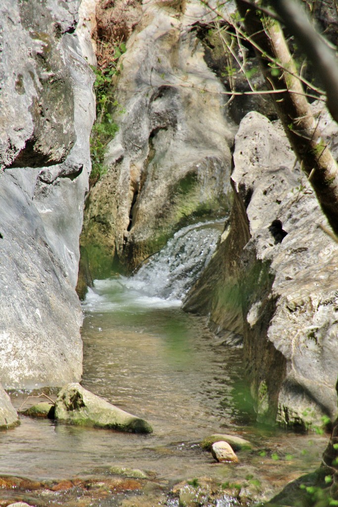 Foto: Arroyo Olabidea - Zugarramurdi (Navarra), España