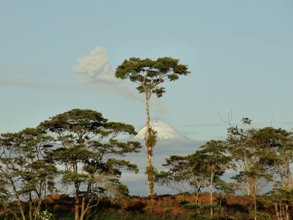 Foto: Vista al Sangay - Simón Bolívar (Pastaza), Ecuador