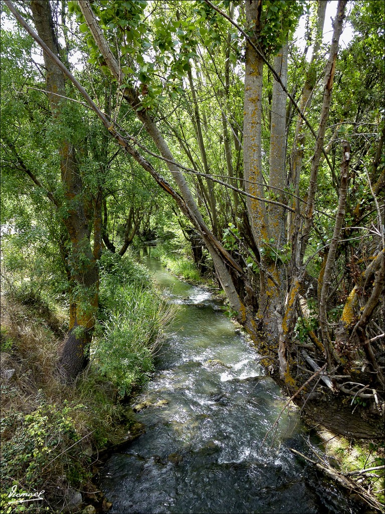 Foto: 120608-26 RIO BLANCO Y JALON - Somael (Soria), España