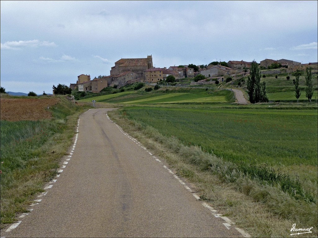 Foto: 120608-75 IRUECHA - Iruecha (Soria), España