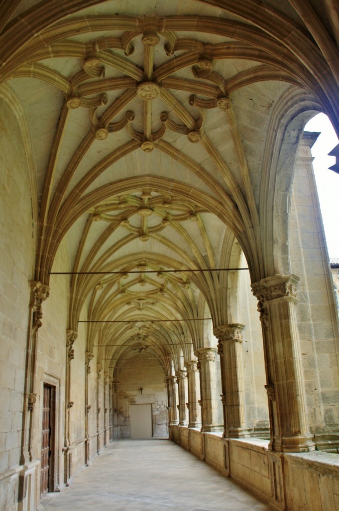 Foto: Monasterio de Irache - Ayegui (Navarra), España