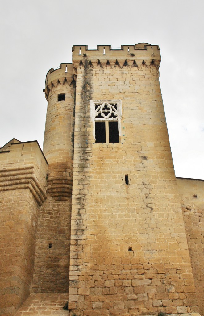 Foto: Palacio Real - Olite (Navarra), España