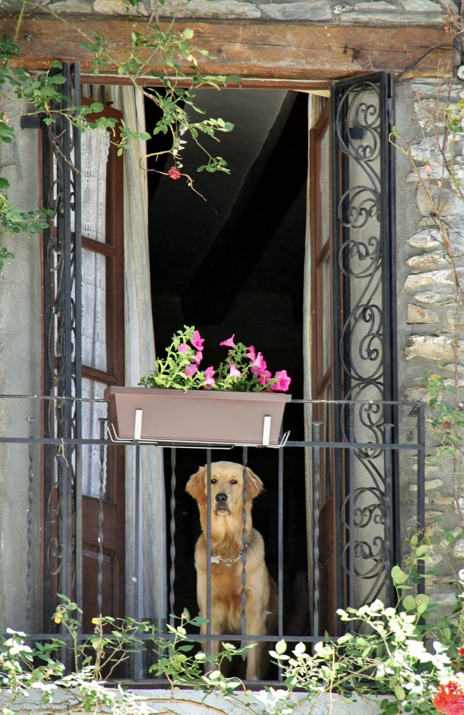 Foto: Guardian - Castellbò (Lleida), España