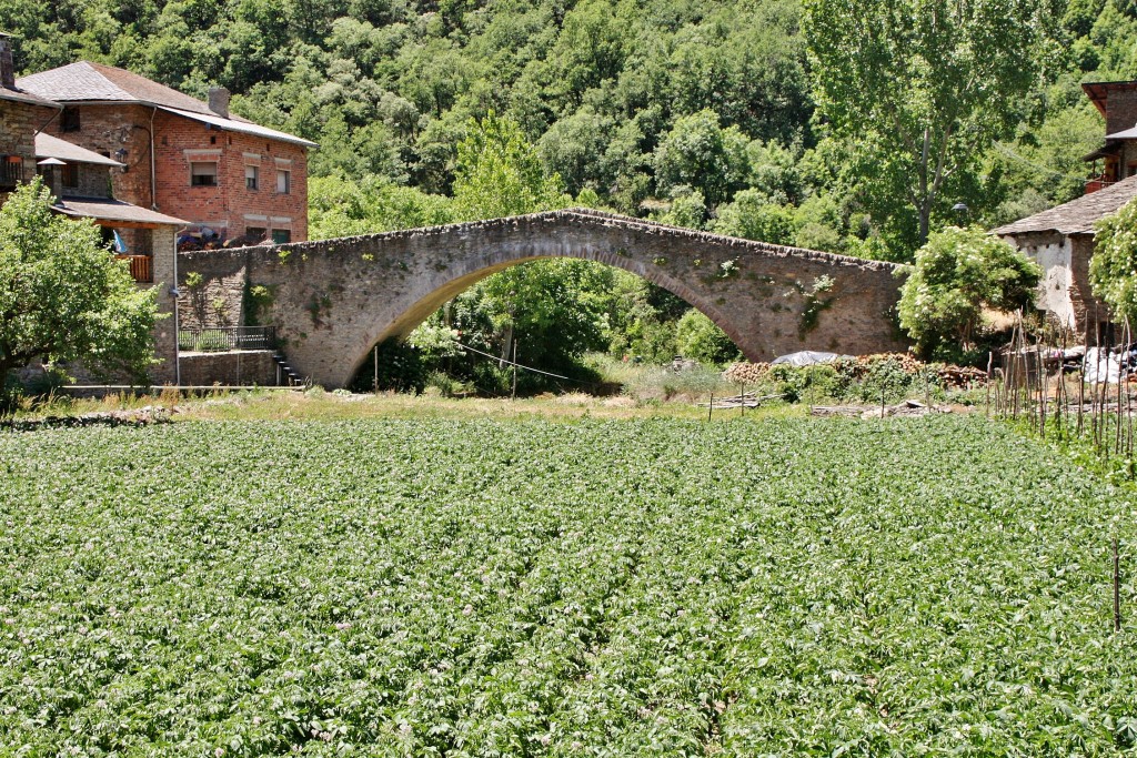 Foto: Puente medieval - Castellbò (Lleida), España