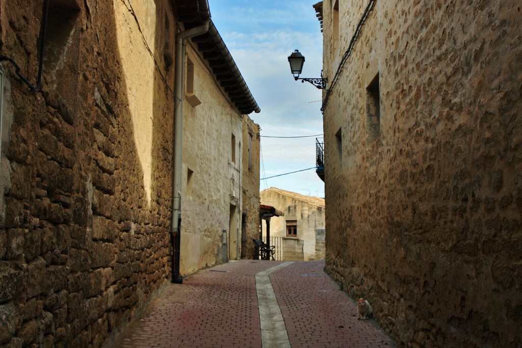 Foto: Centro histórico - San Martín de Unx (Navarra), España