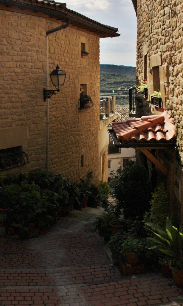 Foto: Centro histórico - San Martín de Unx (Navarra), España