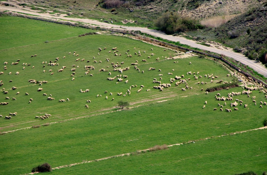 Foto: Vistas desde el recinto amurallado - Rada (Navarra), España