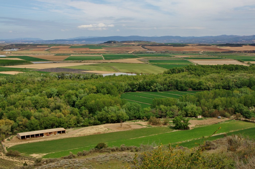 Foto: Vistas desde el recinto amurallado - Rada (Navarra), España