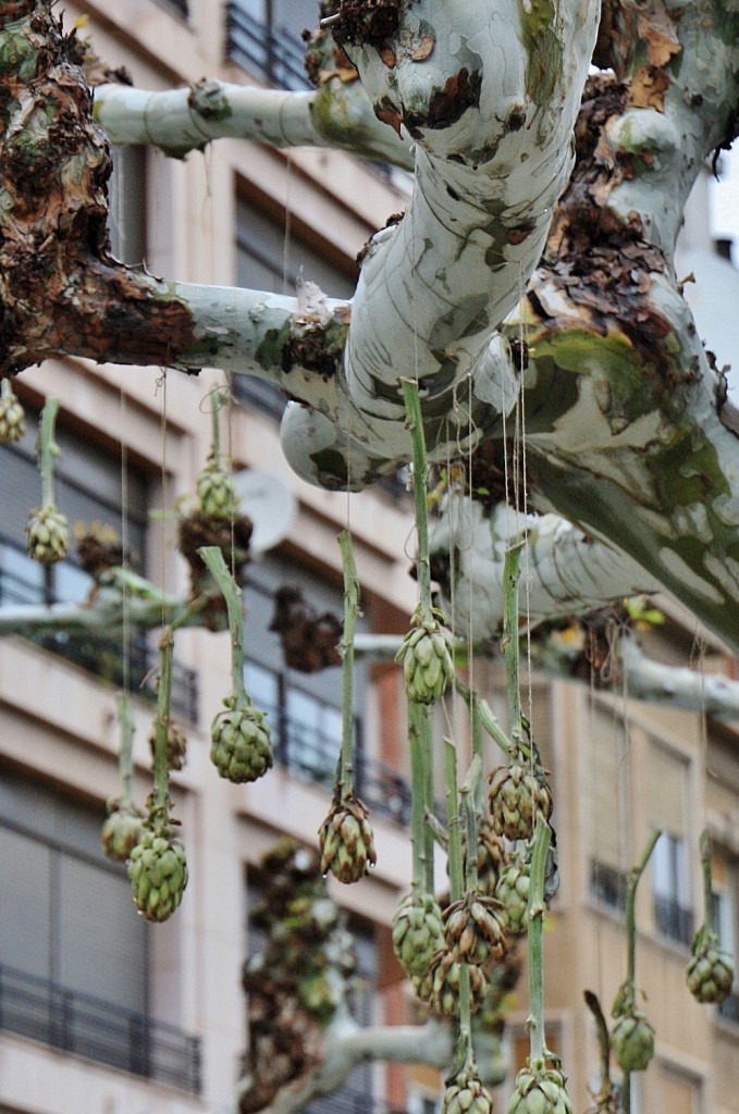 Foto: Paseo del Mercadal - Calahorra (La Rioja), España