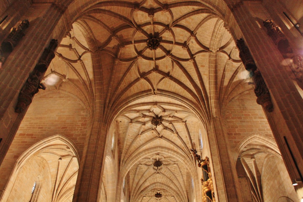 Foto: Catedral - Calahorra (La Rioja), España