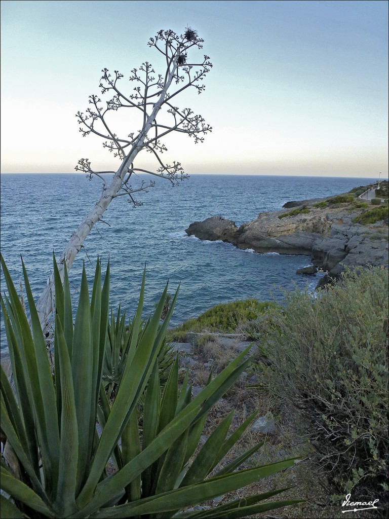 Foto: 120621-05 OROPESA DEL MAR - Oropesa Del Mar (Castelló), España