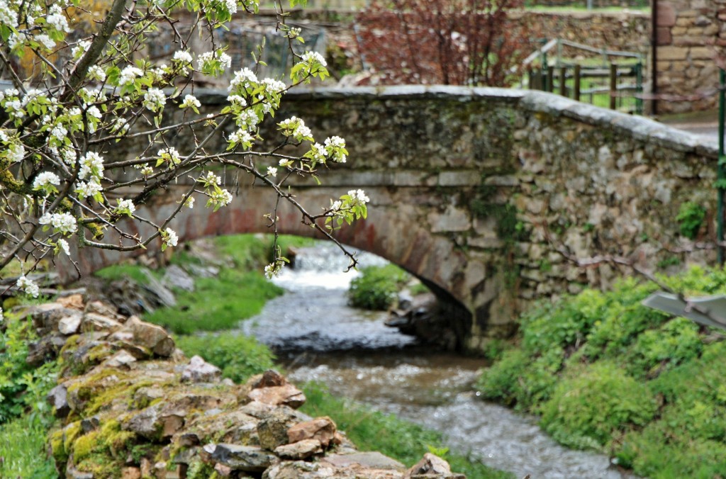 Foto: Puente - Ventrosa (La Rioja), España