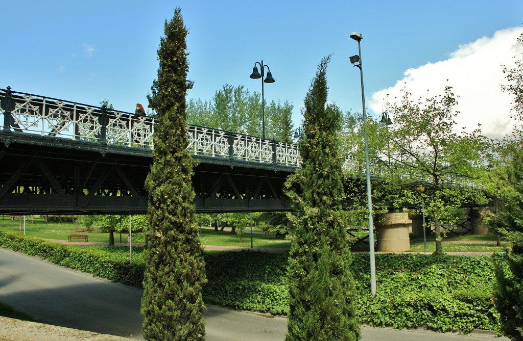 Foto: Puente de Hierro - Logroño (La Rioja), España