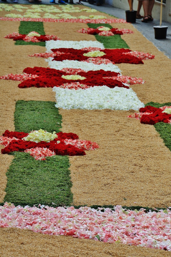 Foto: Alfombras de flores - Sitges (Barcelona), España