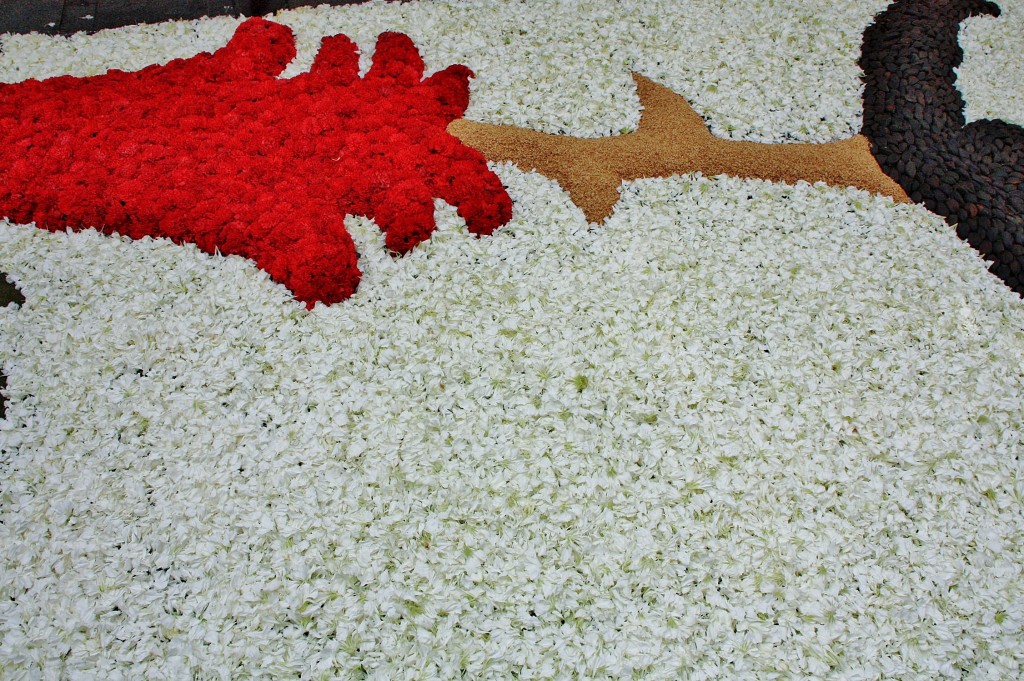 Foto: Alfombras de flores - Sitges (Barcelona), España