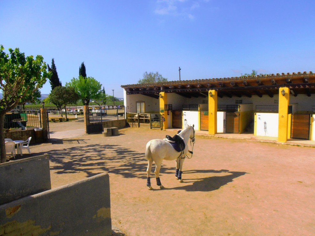 Foto: Patio principal - Pacs del Penedès (Barcelona), España