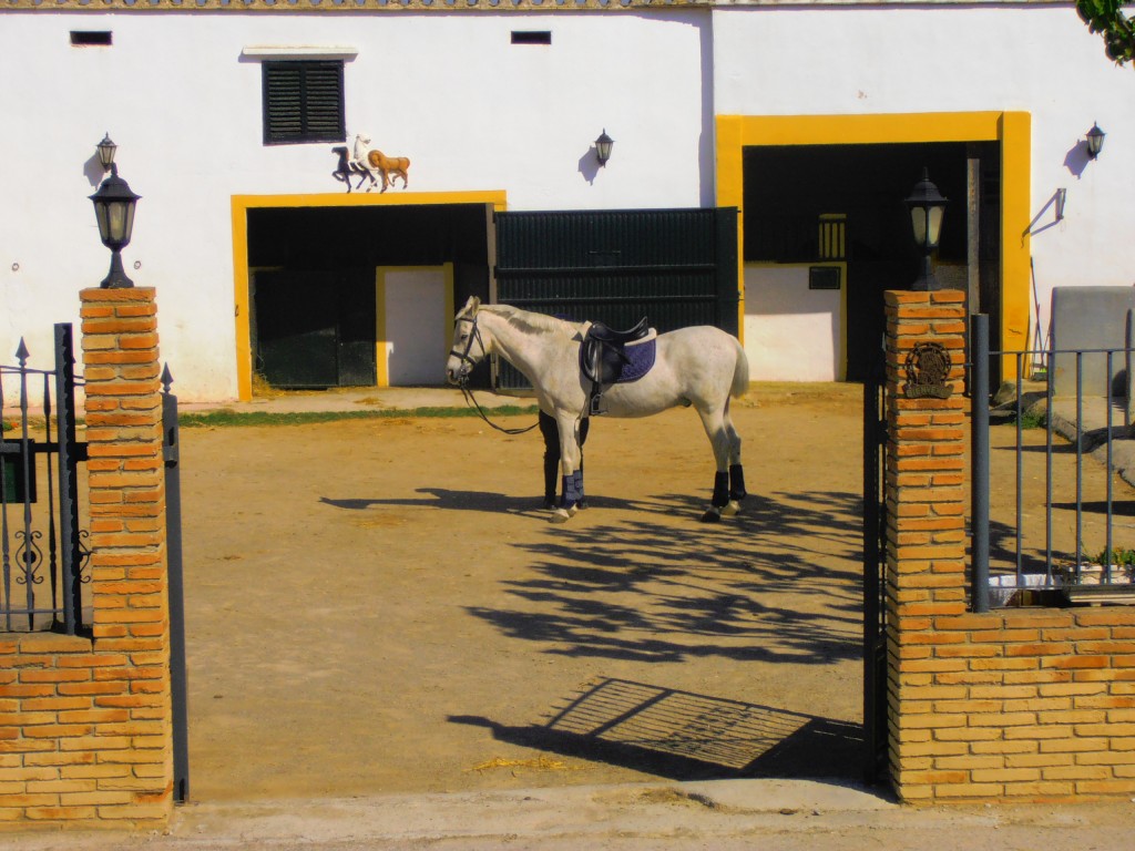 Foto: Entrada a la hípica - Pacs del Penedès (Barcelona), España