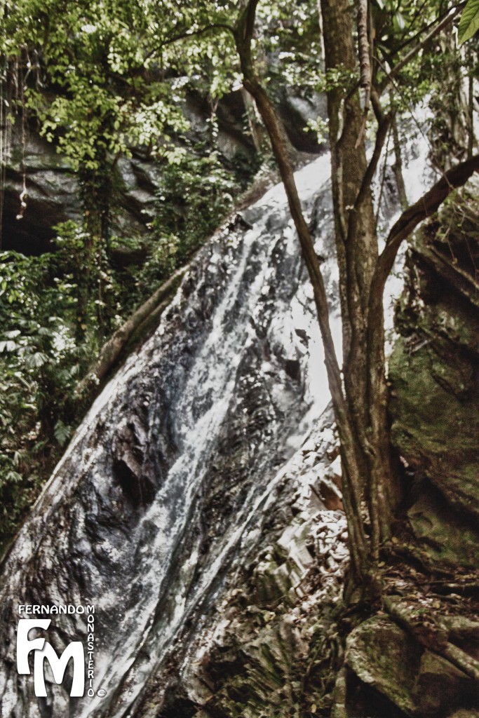 Foto de Parque Nacional El Avila (Distrito Capital), Venezuela