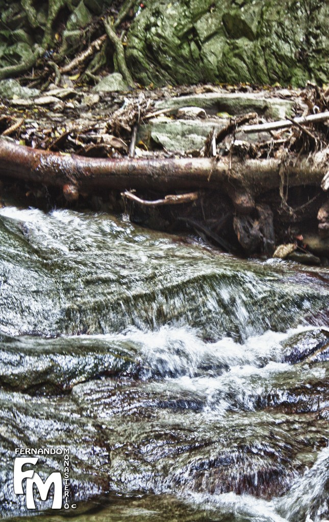 Foto: CASCADA - Parque Nacional El Avila (Distrito Capital), Venezuela