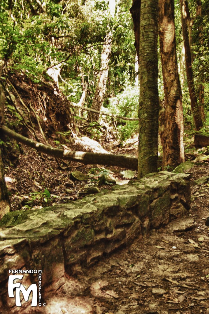 Foto: CASCADA - Parque Nacional El Avila (Distrito Capital), Venezuela