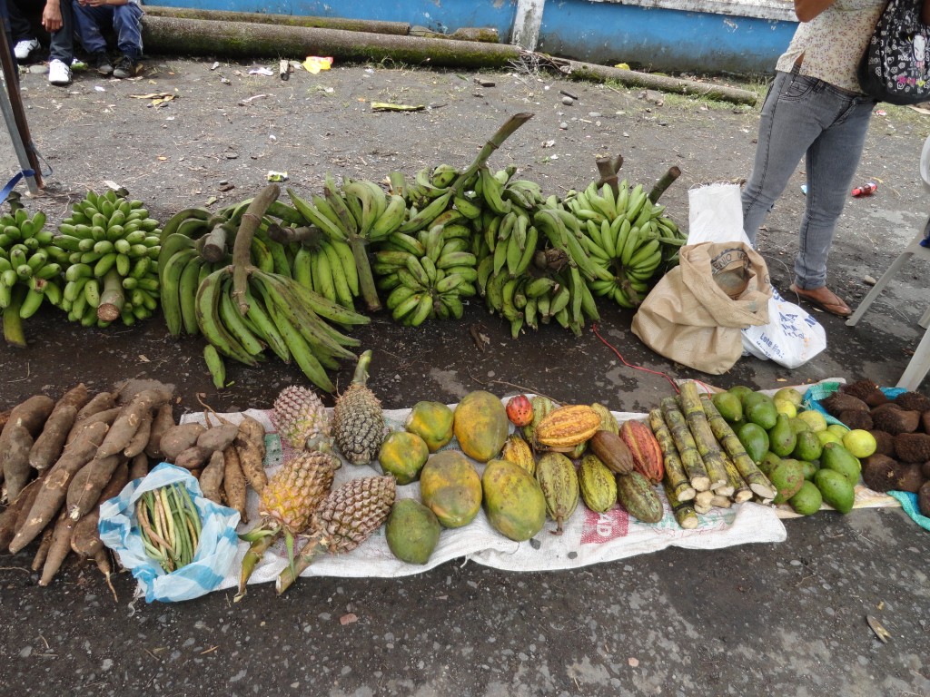 Foto: productos - Simón Bolívar (Mushullacta) (Pastaza), Ecuador