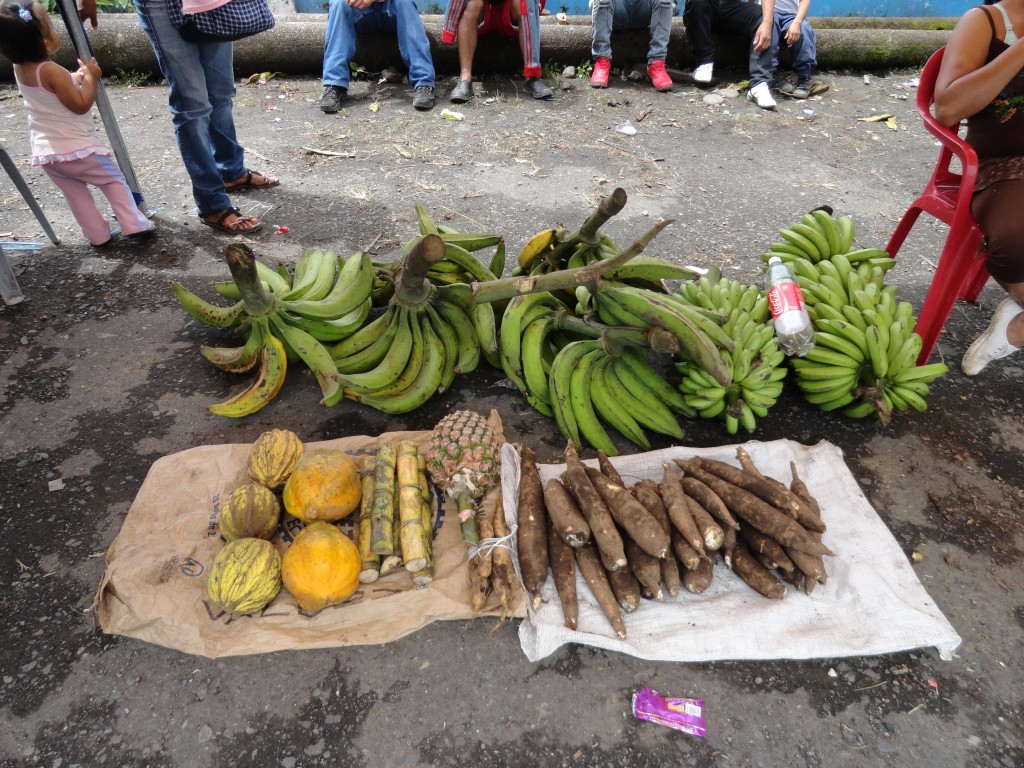 Foto: Productos - Simón Bolívar (Mushullacta) (Pastaza), Ecuador