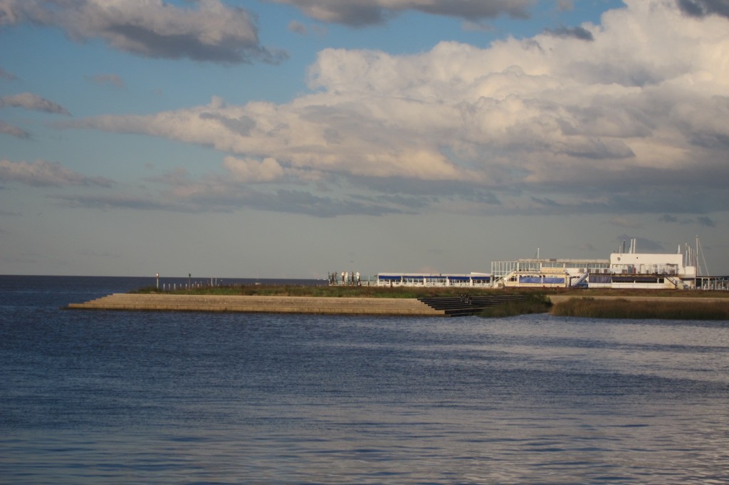 Foto: Costanera Norte - Ciudad Autónoma de Buenos Aires (Buenos Aires), Argentina