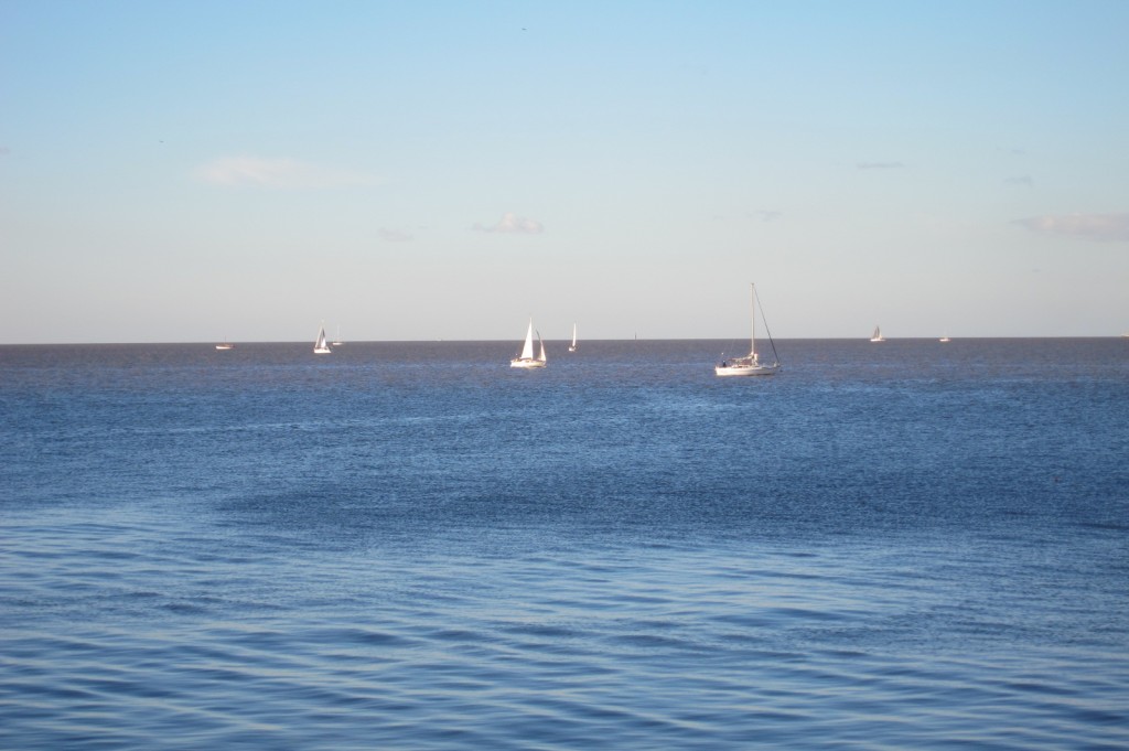 Foto: Costanera Norte - Ciudad Autónoma de Buenos Aires (Buenos Aires), Argentina