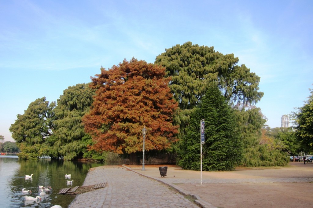 Foto: Parque Tres de Febrero - Ciudad Autónoma de Buenos Aires (Buenos Aires), Argentina