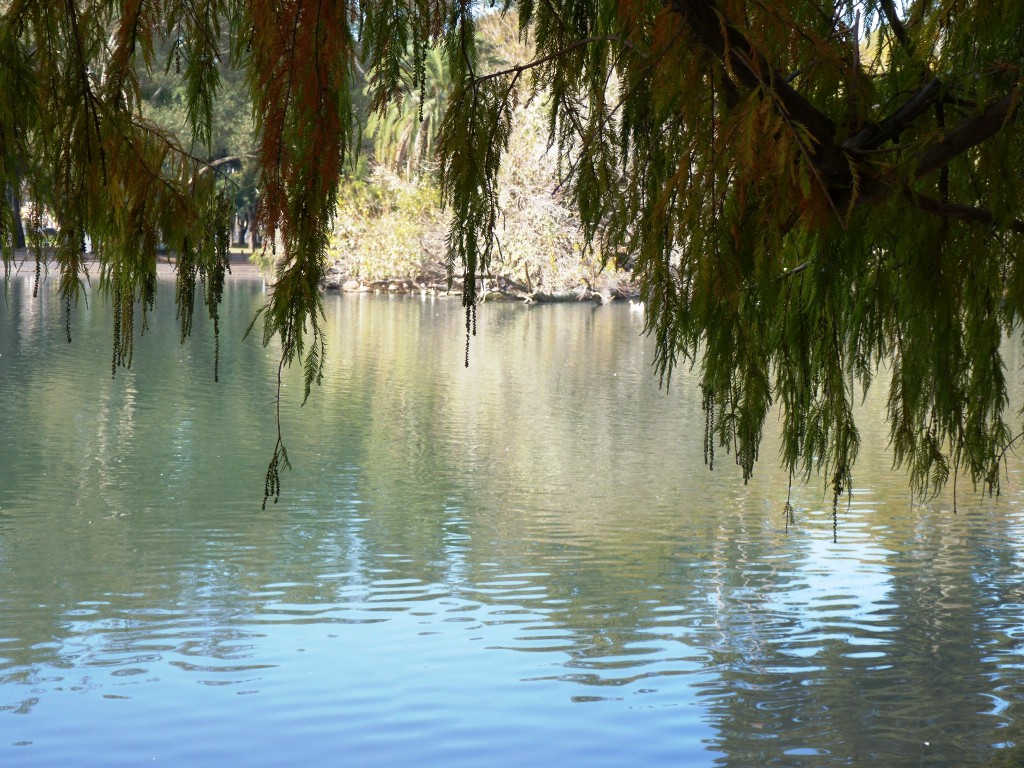 Foto: Lago de regatas - Palermo - Ciudad Autónoma de Buenos Aires (Buenos Aires), Argentina