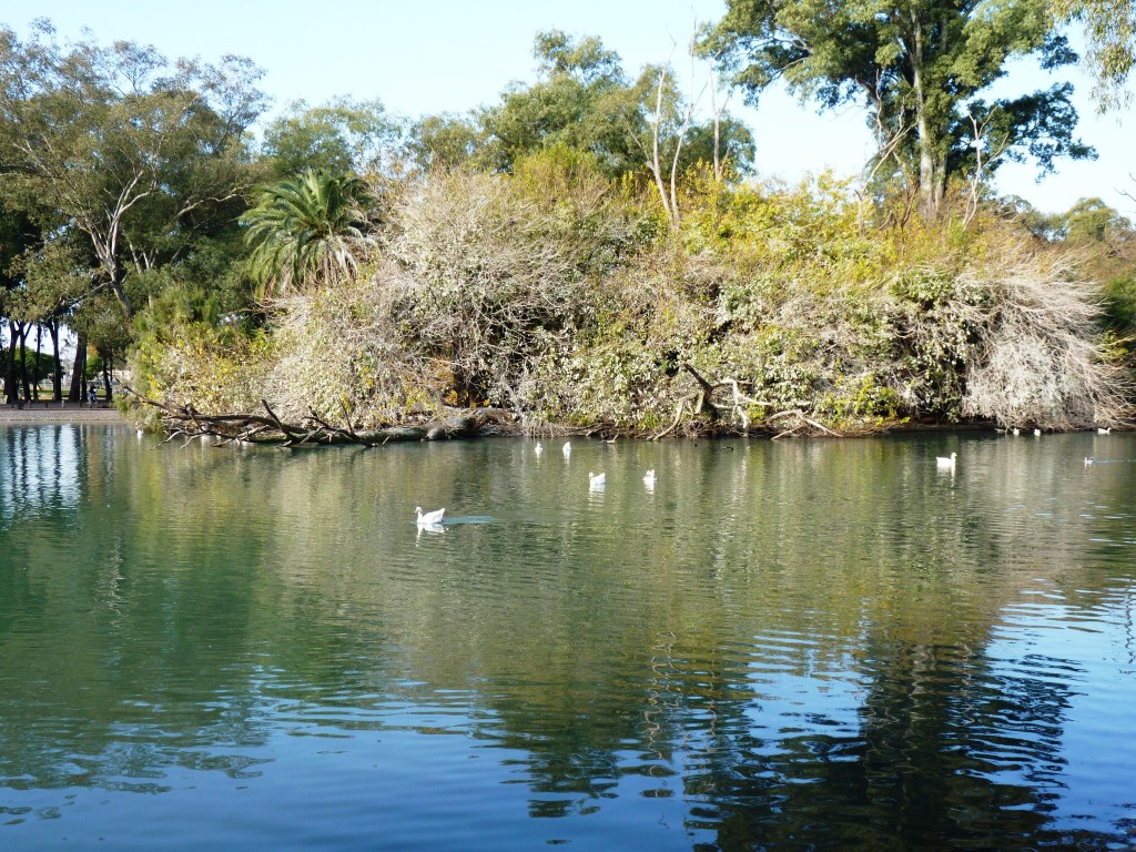 Foto: Lago de regatas - Palermo - Ciudad Autónoma de Buenos Aires (Buenos Aires), Argentina