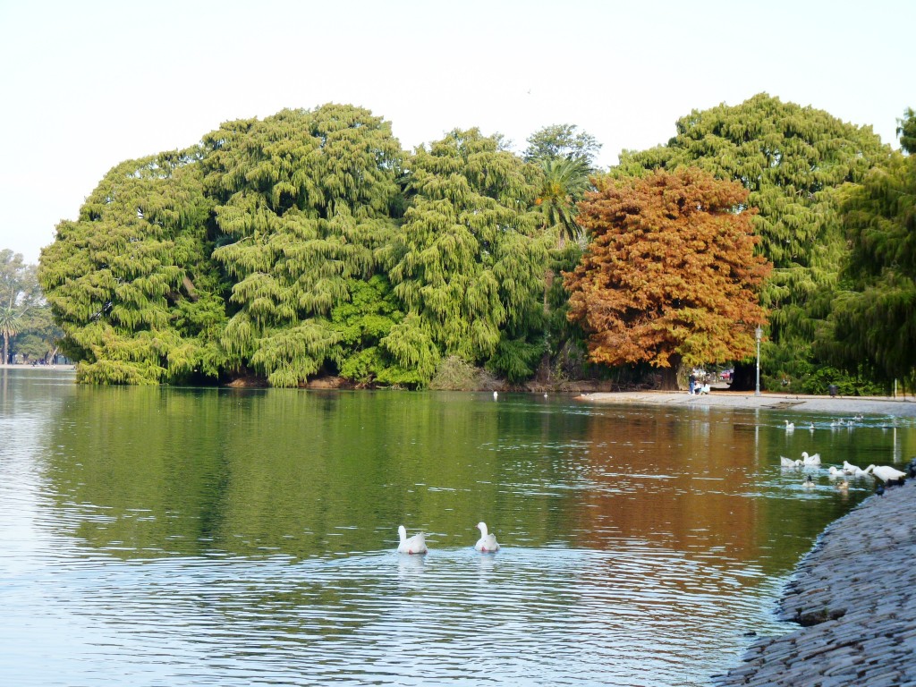 Foto: Lago de regatas - Palermo - Ciudad Autónoma de Buenos Aires (Buenos Aires), Argentina