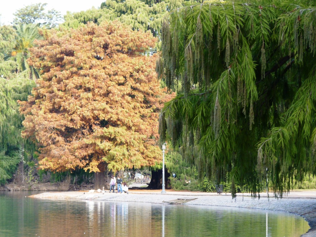 Foto: Lago de regatas - Palermo - Ciudad Autónoma de Buenos Aires (Buenos Aires), Argentina