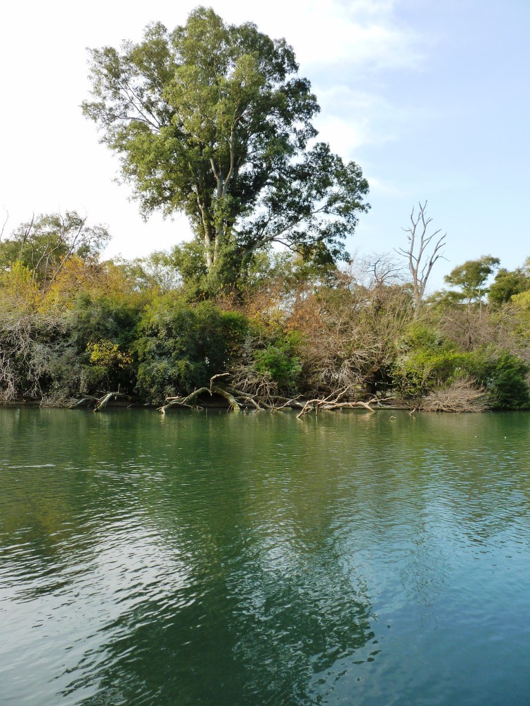 Foto: Lago de regatas - Palermo - Ciudad Autónoma de Buenos Aires (Buenos Aires), Argentina